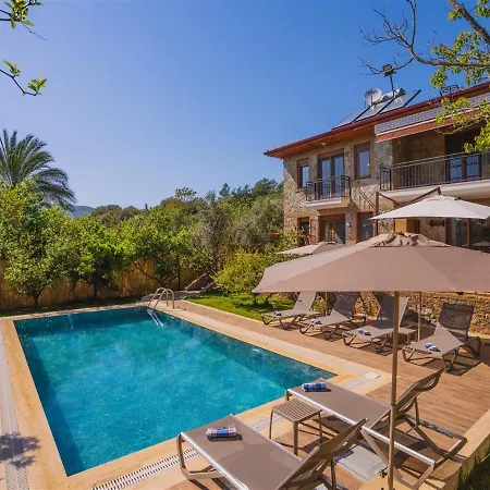 Вилла - Tradational Greek In Kayakoy *